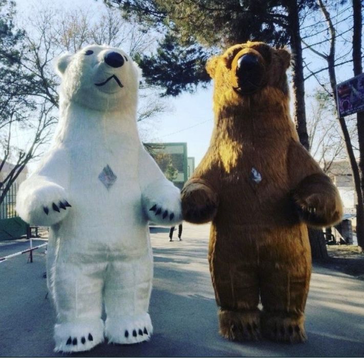 Ayiqlar Xolati Yaxshi Hitoy Junni tokilmaydigan