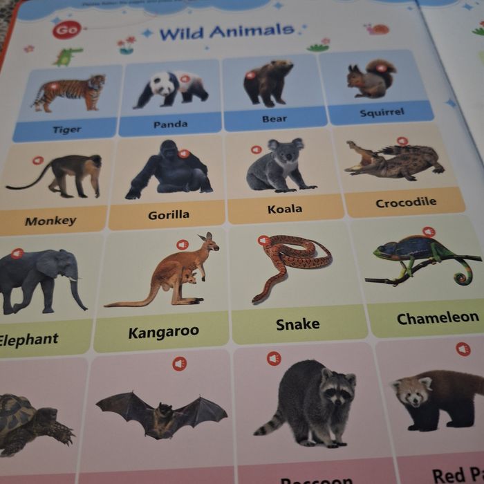 Книжка за първи стъпки в английският език