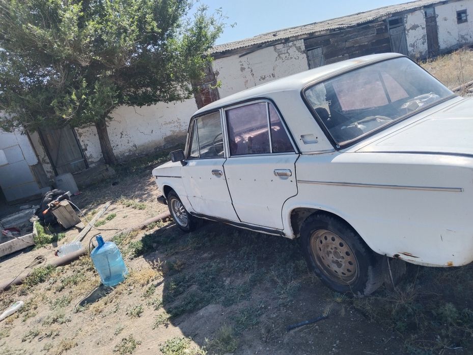 Продам шоху на хаду
