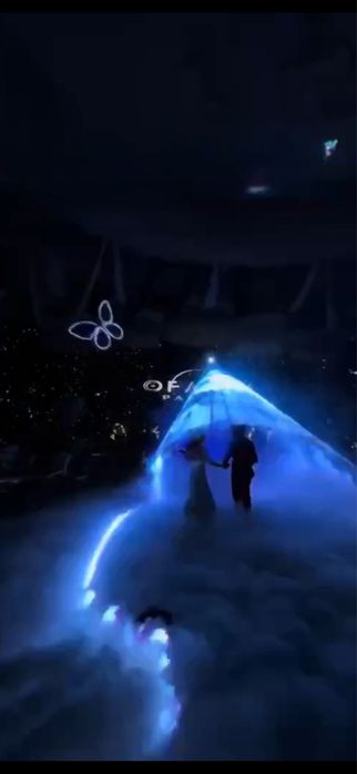 Бабочка-летающая Дрон