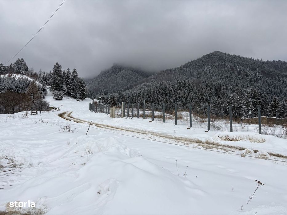 Teren de vanzare Sacele