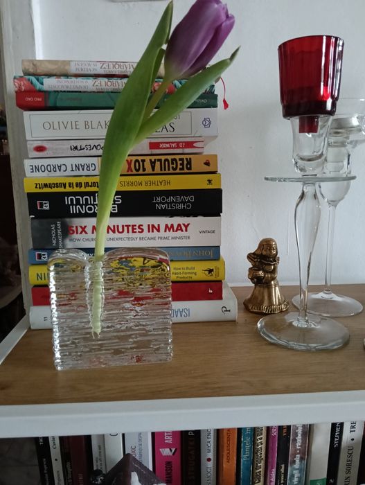 Vază soliflore Ritzenhoff sticlă grea – design modernist