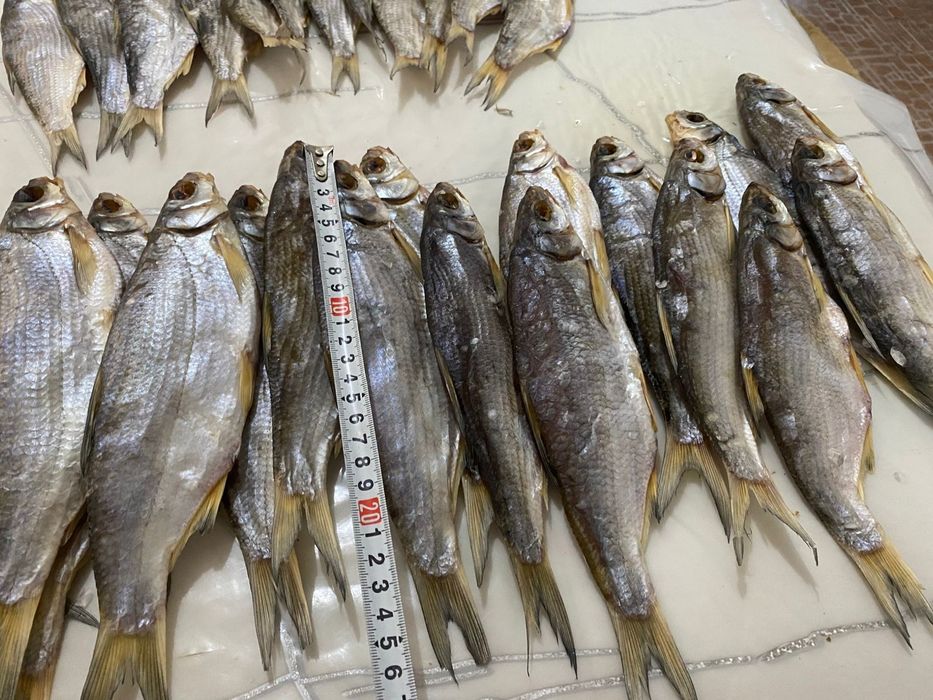 Продам.    рыбец