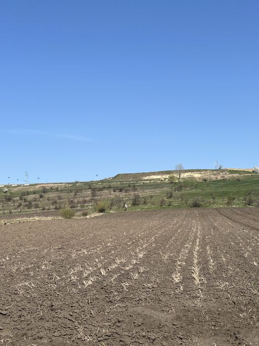 Teren extravilan 75 ari Ipotesti -Moara