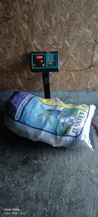 Рыба. Окунь и судак Алакольский