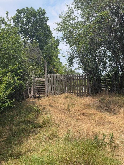 Teren intravilan Babana