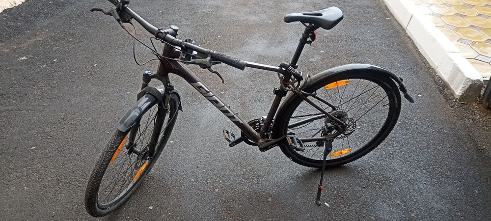 Giant roam 2.      L
