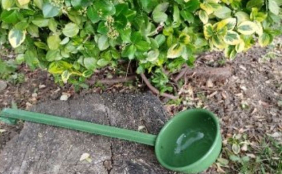 Антики. За всекиго по нещо.