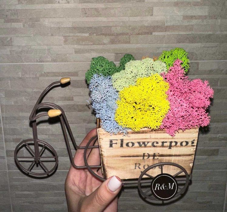 Подарък. Декорации. Скандинавски мъх. Ръчно изработени.