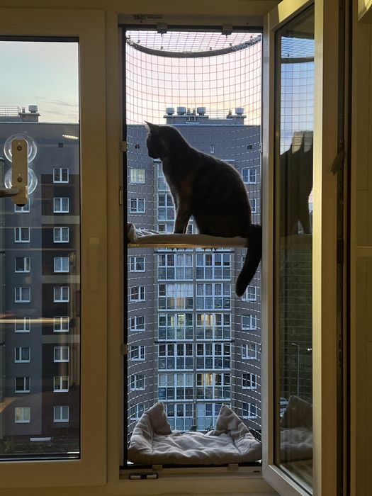 Балкон для кошек на окно