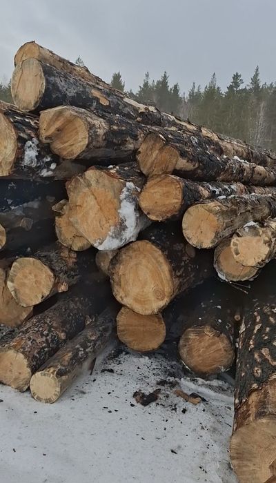 Продас лес кругляк