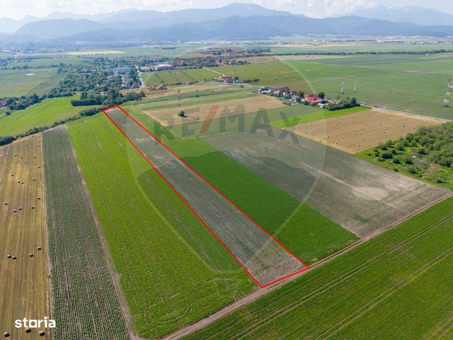 Teren de vânzare 11.500 mp | Ghimbav | Strada Aeroportului