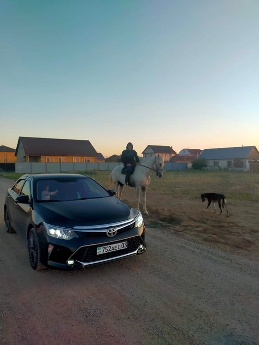 Титановый диски R17.