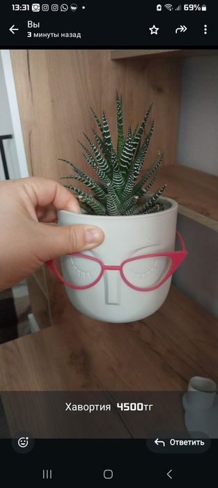 Продам цветы от 3000тг-6000