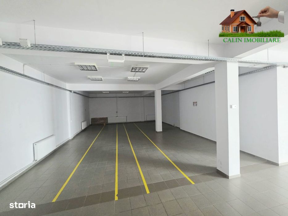 Hală / Spațiu De Depozitare Premium 200 Mp Birou Tatarasi Sud