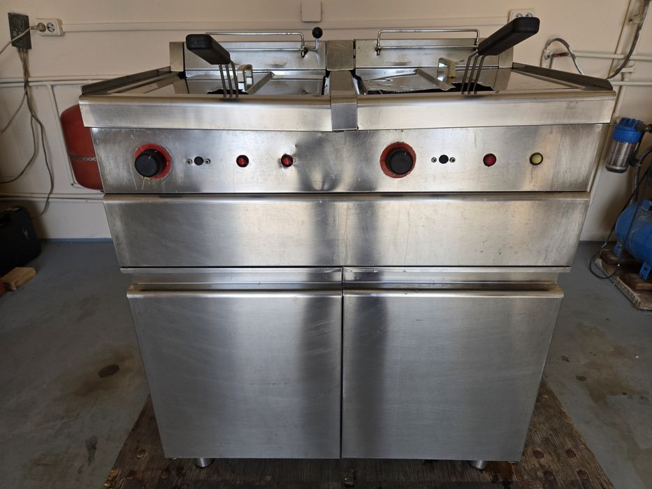 Fripteuza profesionala