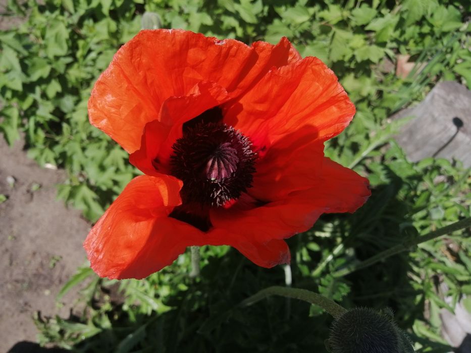 Продам дачу.Баня