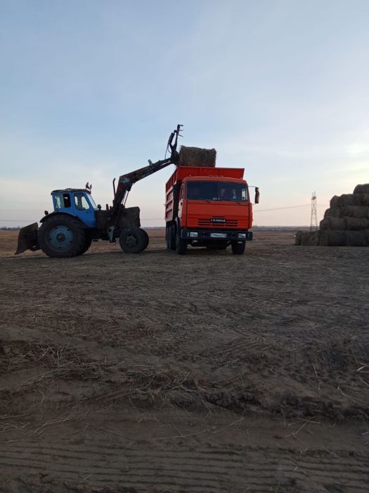 Сено луговое этого года