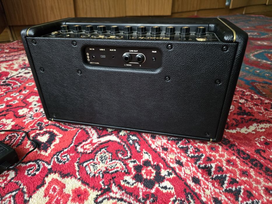 Positive Grid Spark 2