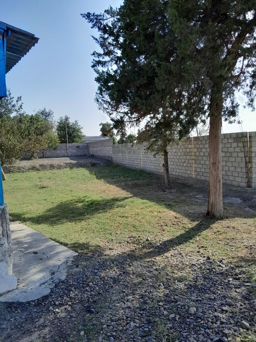 Бино 20 сотих сотилади (нархи 1 сотих учун)