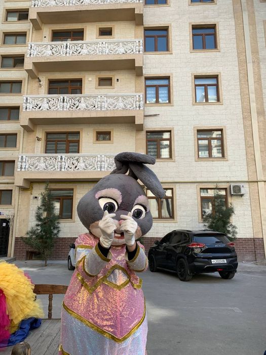 Аниматор айиклар фаргона шахар