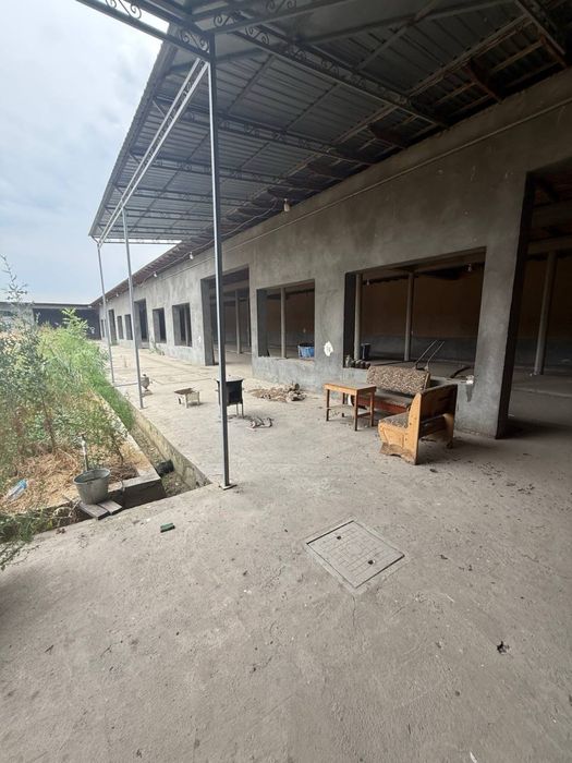 Продается новая Ферма (г. Янгиюль)