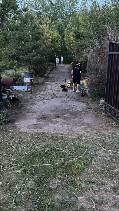 Скос травы ( скосить территорию) прополоть