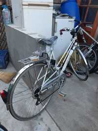 charm dig Detector bicicleta dama Prahova - Anunturi gratuite