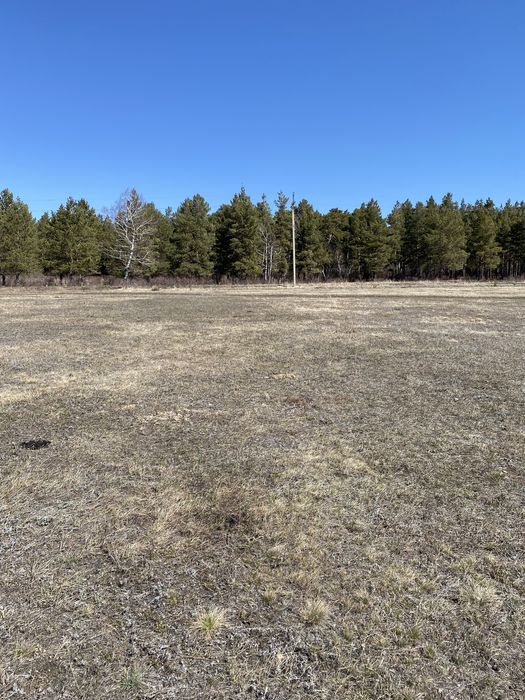 Продам 12 соток у леса в п.Зелёный Бор