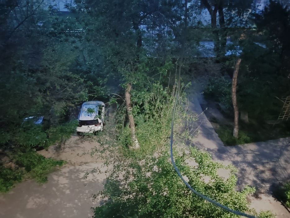 Ш.Руставели. 59 поликл.3х