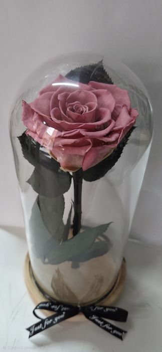 Trandafir criogenat!