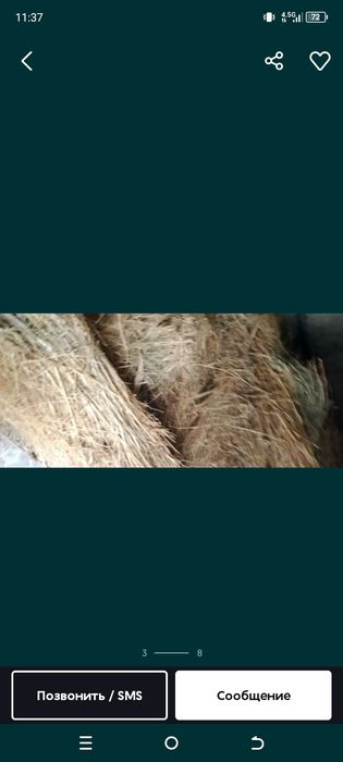 Chorva mollari uchun dagʻal xashak sotiladi Samarqandda