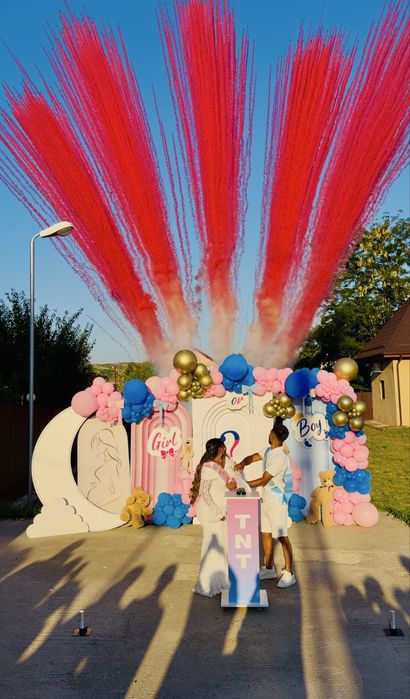 Gender Reveal /Photocorner / decor camera / decor baloane