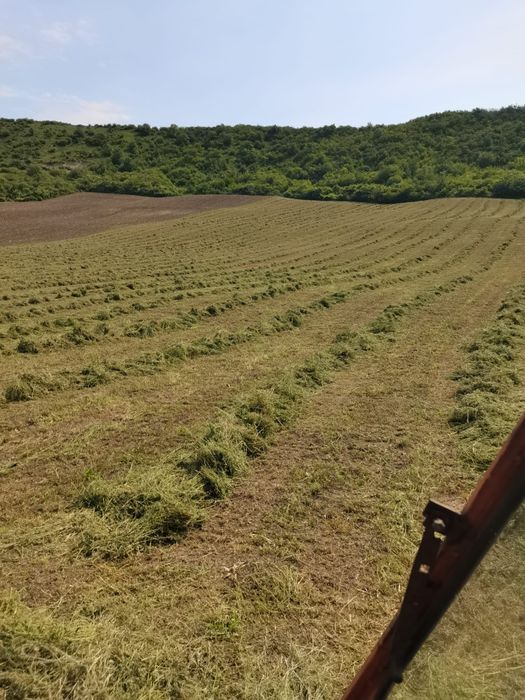 Baloți de lucernă dreptunghiulari prima coasă