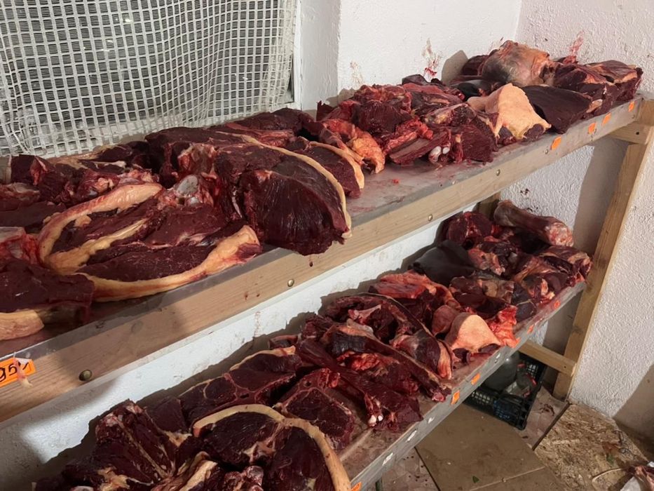 Продам байтал сирақтап