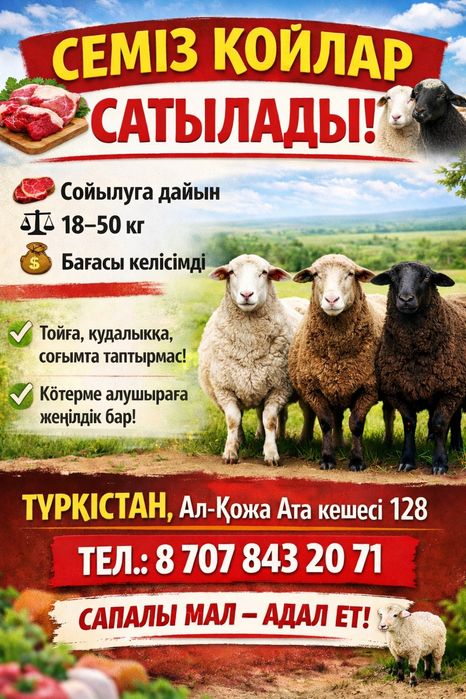 Қой, тоқты қошқарлар сатылады.