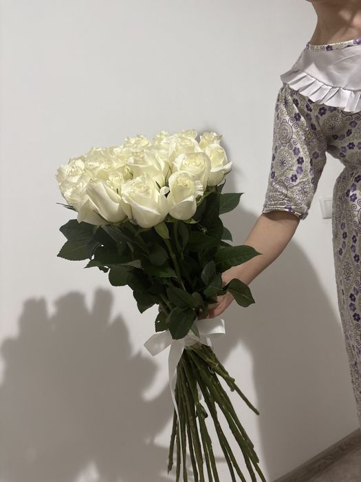 Свежи жаңа келді