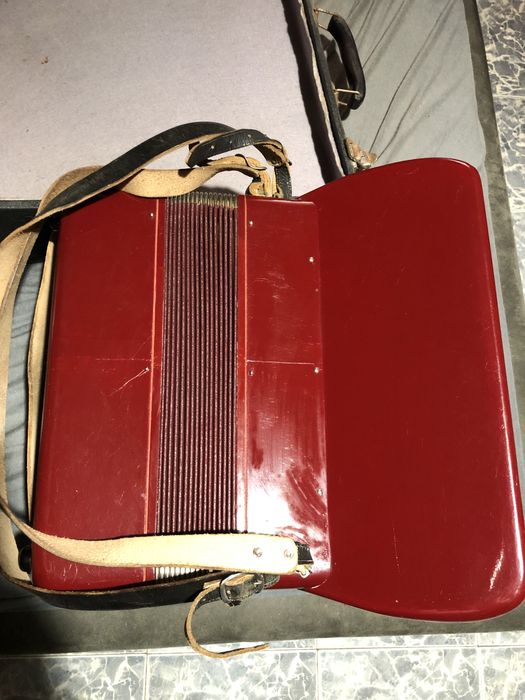 Acordeon Cantulia Bambi