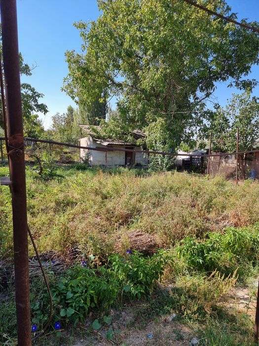 Dacha sotiladi ortasaroy