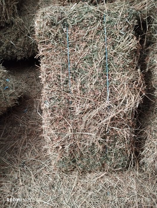 Vând baloți lucernă coasa 2-3-4