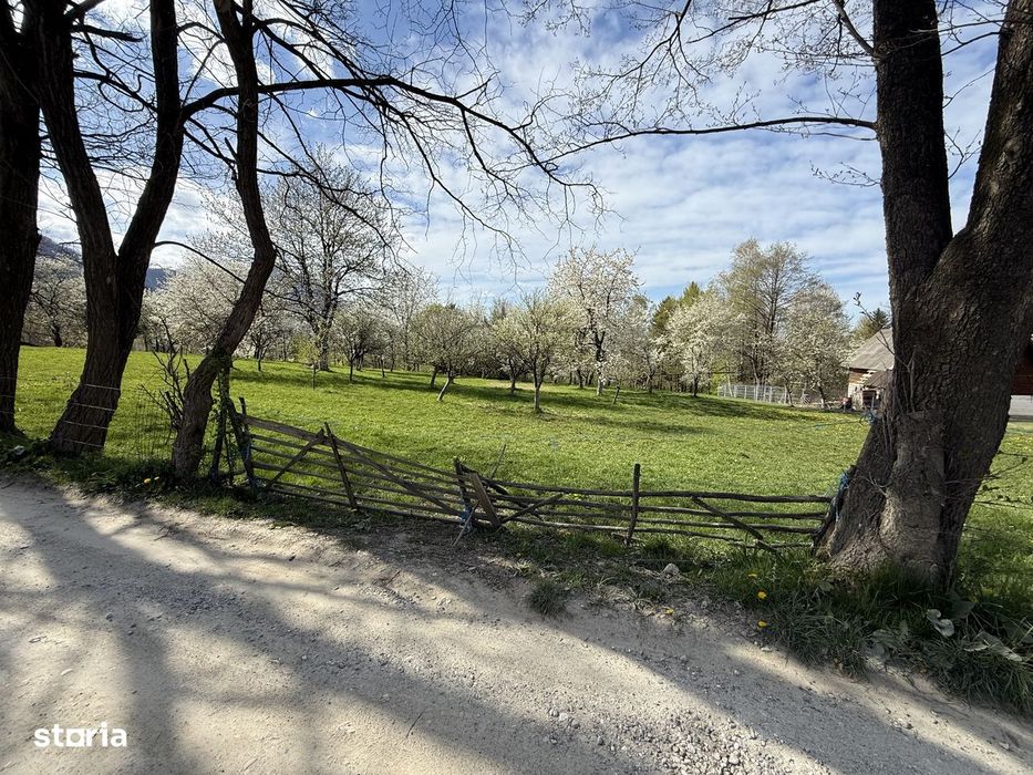 Teren intravilan 1355 mp in zona Bran, judetul Brasov