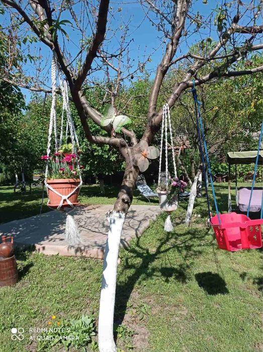 Продава се Къща в с. Крива бара, Област Монтана - 200 кв.м за 145 €/кв.м - Снимка #4