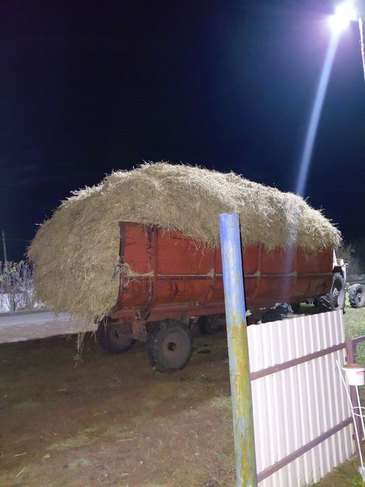 Продам солому пшеничная
