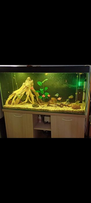Аквариум для рыб