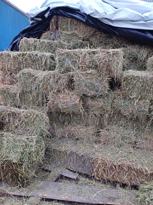 Baloti de fan, lucerna, paie si otava