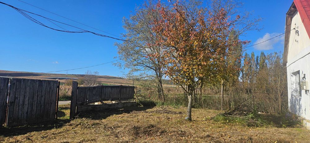 Casă + teren generos în Tureni