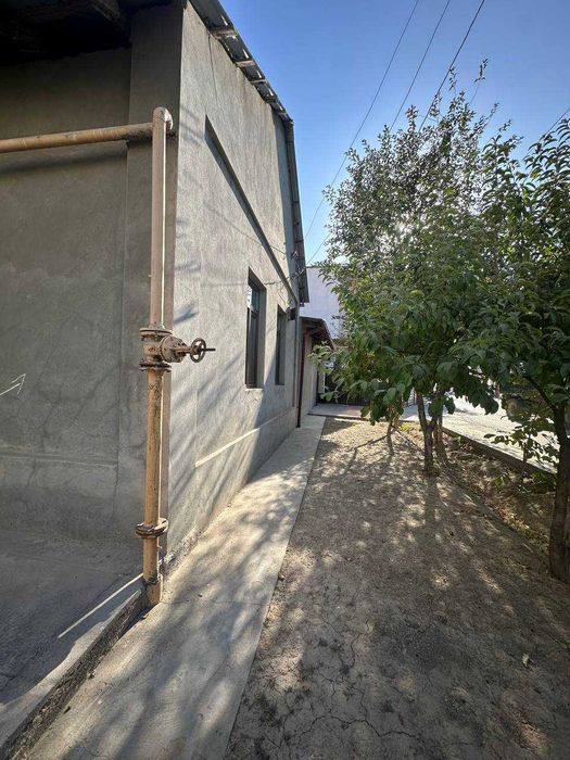 Эксклюзивное предложение!