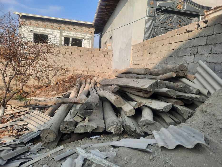 Болол сафедор опши