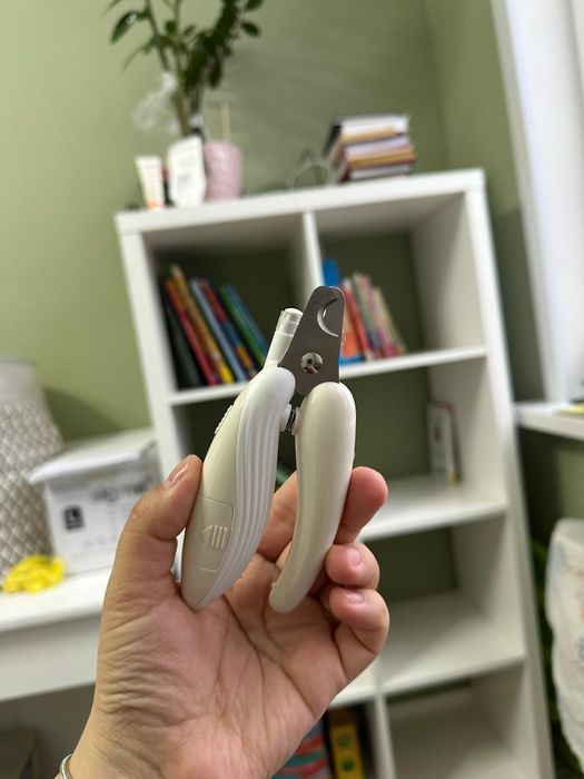 Принадлежности для кошечки