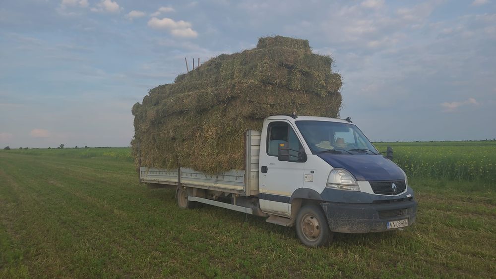 Baloți de lucernă